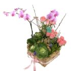 Arreglo de flores naturales con 12 rosas, orquídea de 3 varas, coles, uña de gato y follaje en una canasta con listón.
