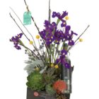 Arreglo de plantas naturales con suculentas, Dustin Miller, proteas, iris y uñas de gato junto con una botella de mezcal Mil Millas en una base rectangular de madera.